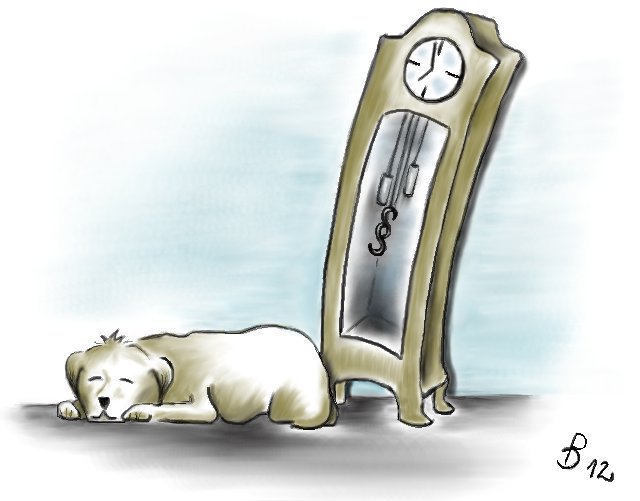 Kanzleiöffnungszeiten